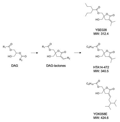 A Therapeutic Strategy to Combat HIV-1 Latently Infected Cells With a Combination of Latency-Reversing Agents Containing DAG-Lactone PKC Activators